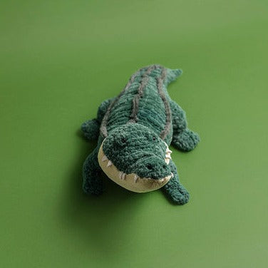 Allexi Alligator