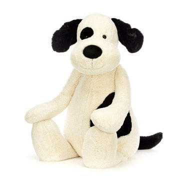 Bashful Black & Cream Puppy