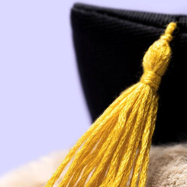 Bashful Bunny Graduation Outfit