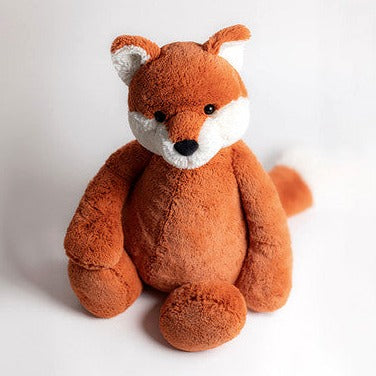 Bashful Fox Cub