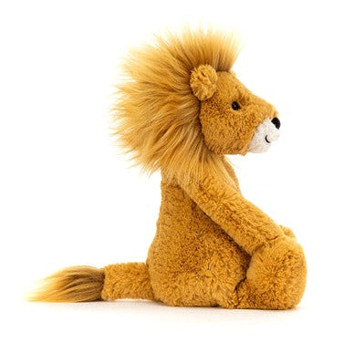 Bashful Lion