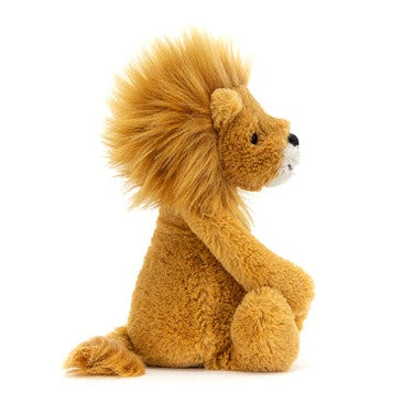 Bashful Lion