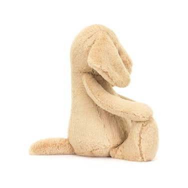 Bashful Luxe Puppy Orlando