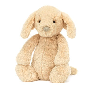 Bashful Luxe Puppy Orlando