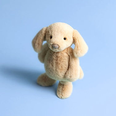Bashful Luxe Puppy Orlando