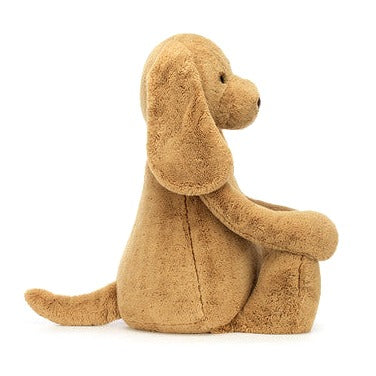 Bashful Toffee Puppy