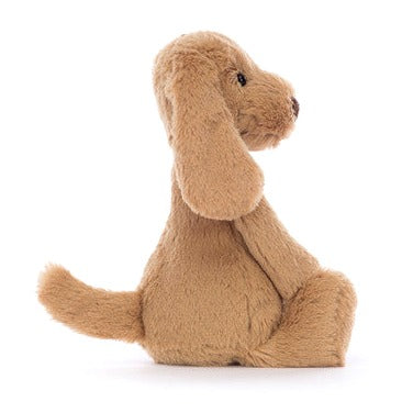 Bashful Toffee Puppy