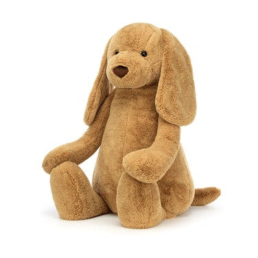 Bashful Toffee Puppy