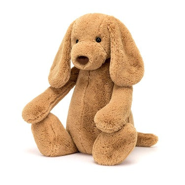 Bashful Toffee Puppy