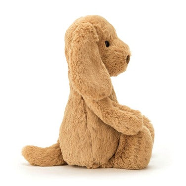 Bashful Toffee Puppy