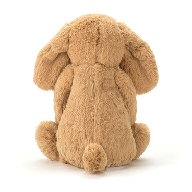 Bashful Toffee Puppy