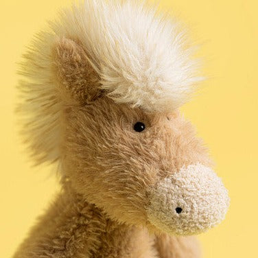 Canterneigh Pony