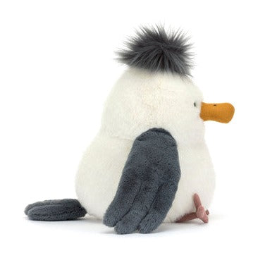 Chip Seagull