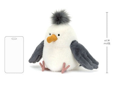 Chip Seagull