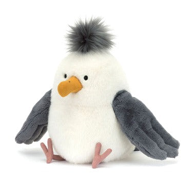 Chip Seagull