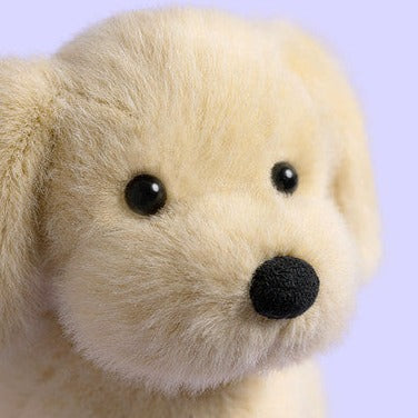 Golden Puppy