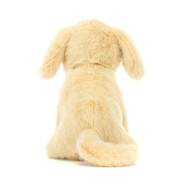 Golden Puppy