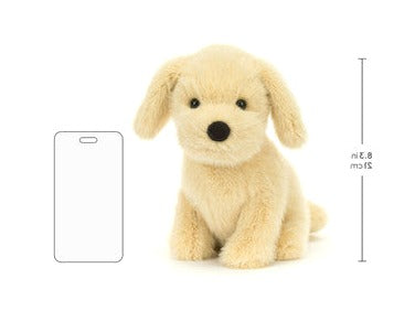Golden Puppy