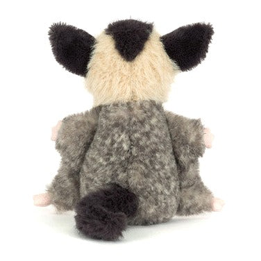 Lolly Sugar Glider