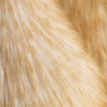 Springlowe Luxe Bunny