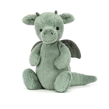 The Sky Dragon Book and Bashful Dragon Medium
