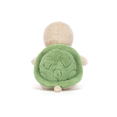 Thimble Turtle