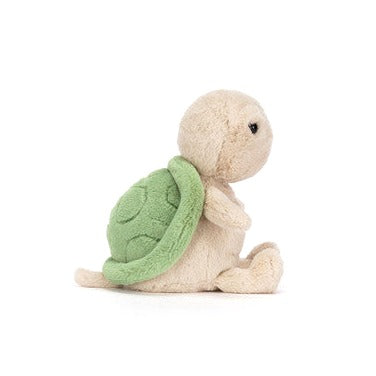 Thimble Turtle