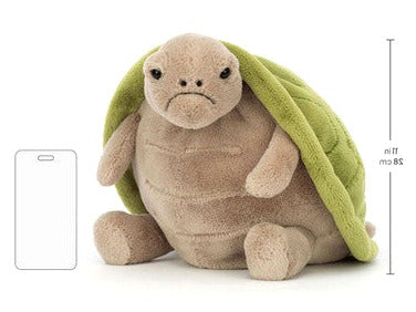 Timmy Turtle