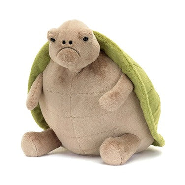 Timmy Turtle
