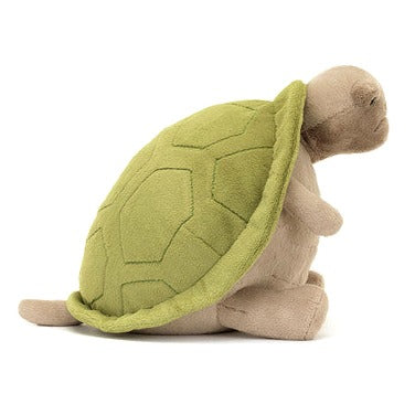 Timmy Turtle