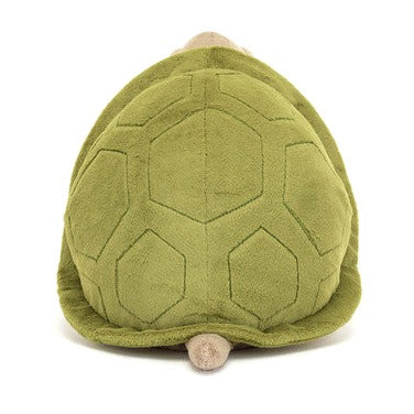 Timmy Turtle